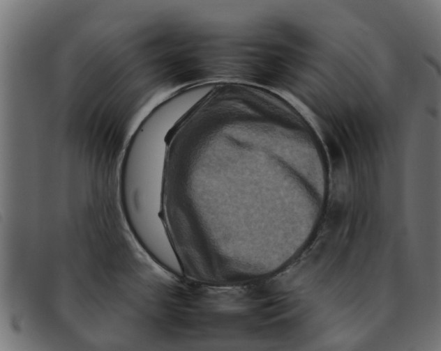 X0000092231341200710121210