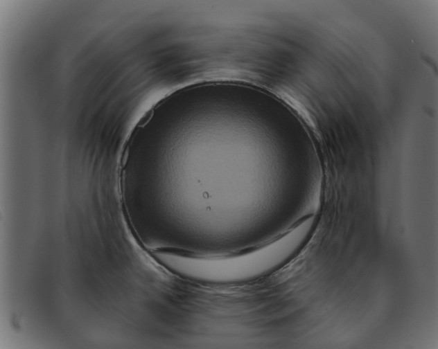 X0000092231342200710121210