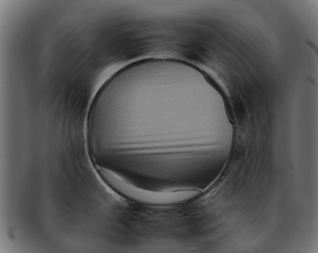 X0000092231343200710121210