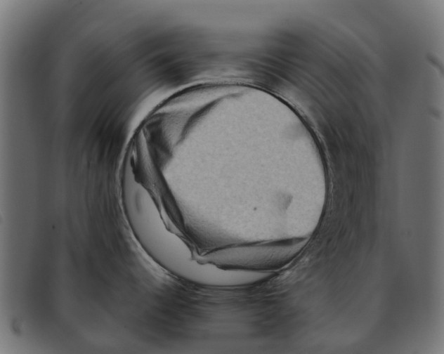 X0000092231344200710121210