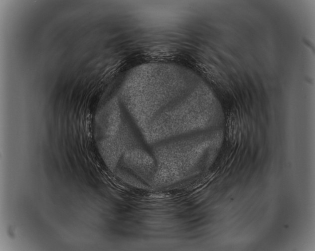 X0000092231346200710121209