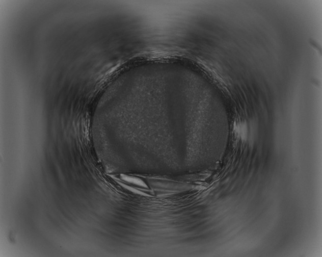 X0000092231348200710121209