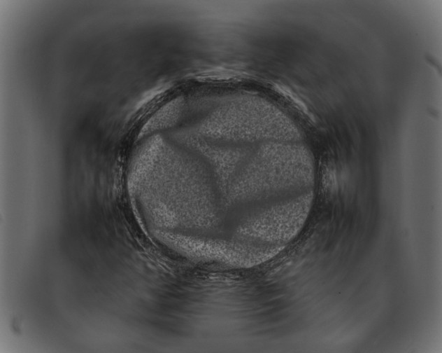 X0000092231350200710121209