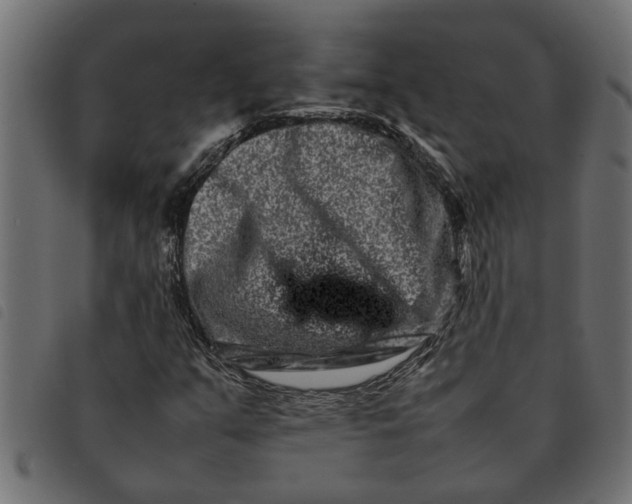 X0000092231351200710121209