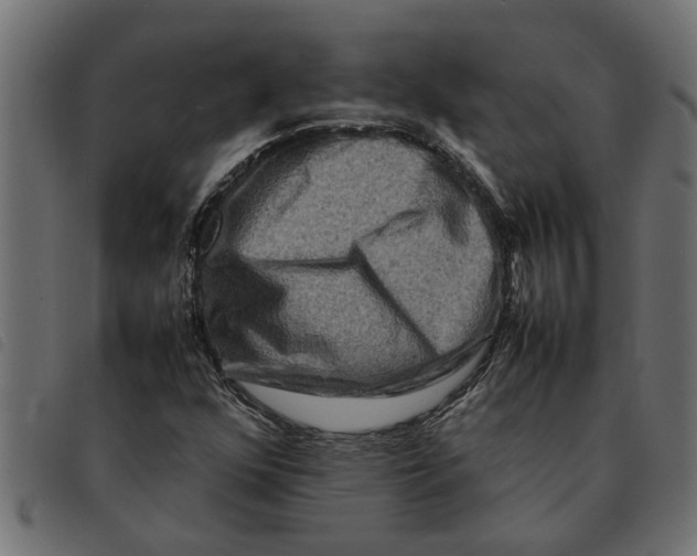 X0000092231352200710121209