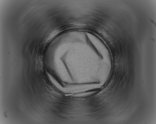 X0000092231354200710121209