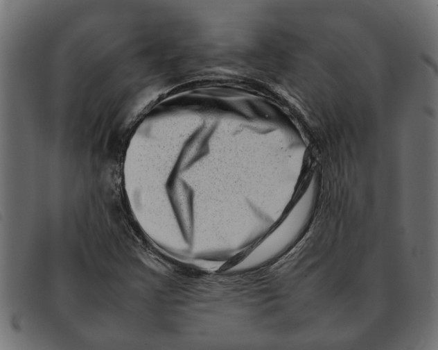 X0000092231355200710121209