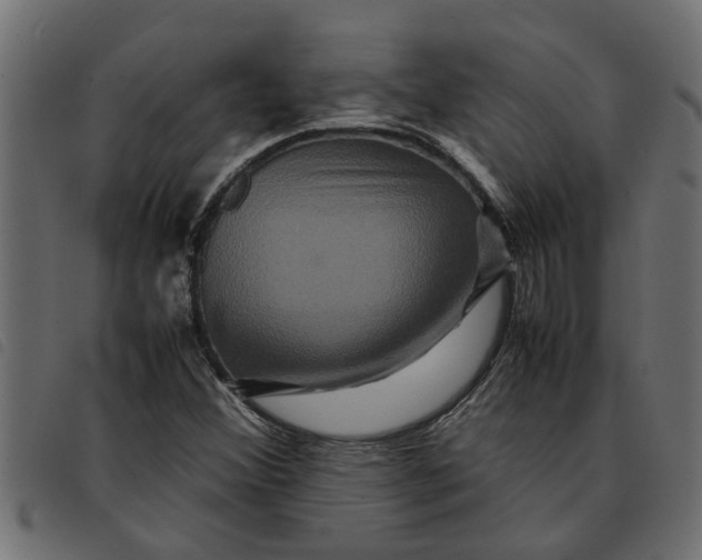 X0000092231356200710121209