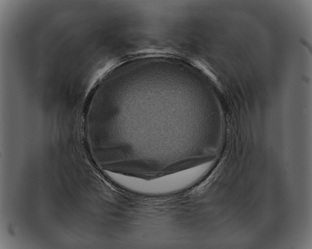 X0000092231357200710121209