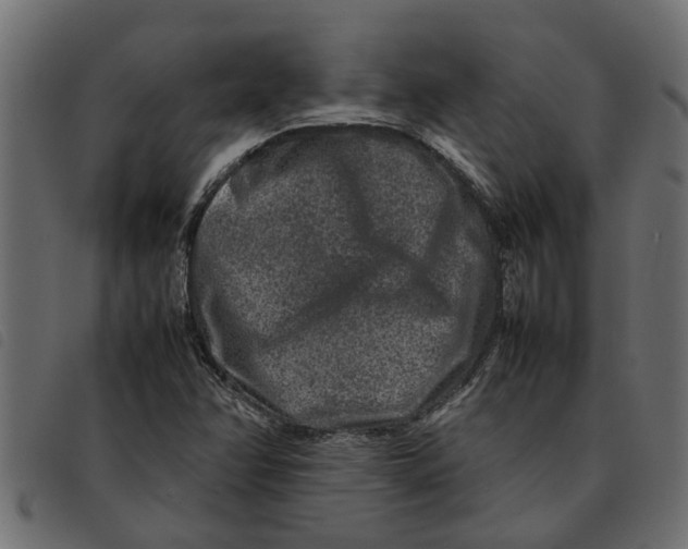 X0000092231358200710121209