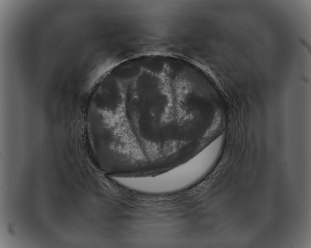 X0000092231359200710121209