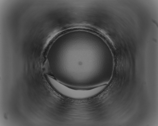 X0000092231360200710121209