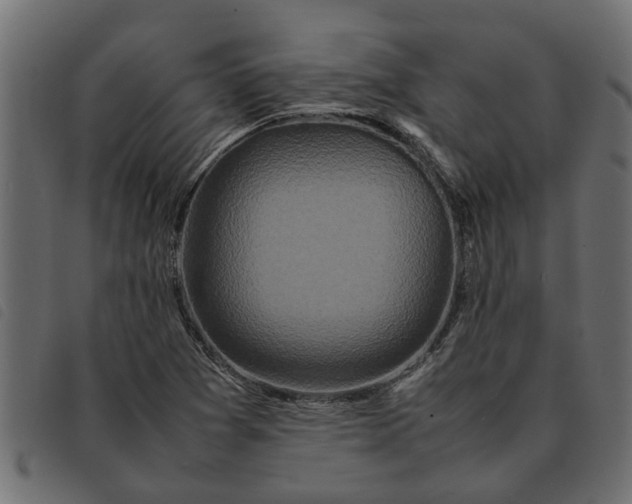 X0000092231361200710121209