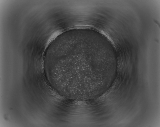 X0000092231362200710121209