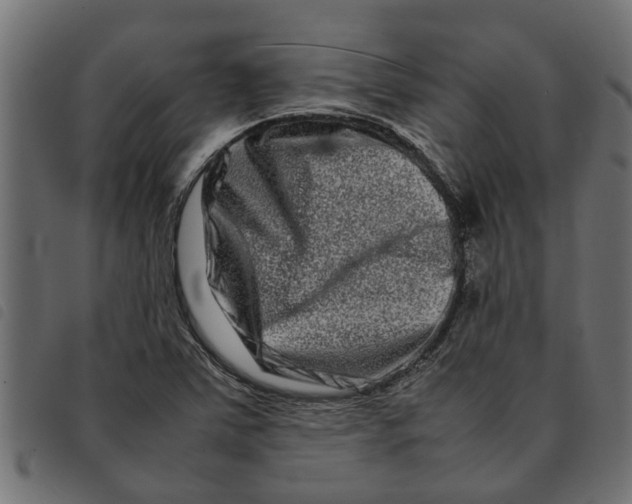 X0000092231363200710121209