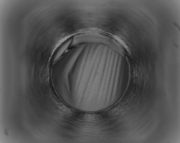 X0000092231364200710121209