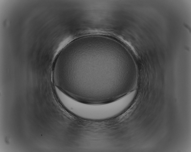 X0000092231365200710121209