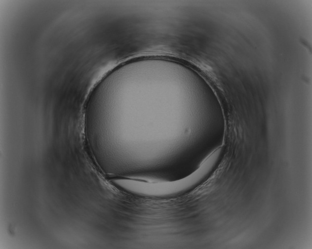 X0000092231366200710121209