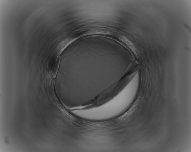 X0000092231369200710121209