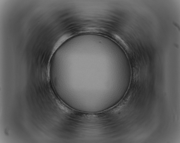 X0000092231370200710121209