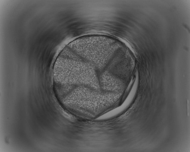 X0000092231371200710121209