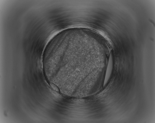 X0000092231372200710121209