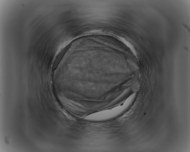 X0000092231373200710121209