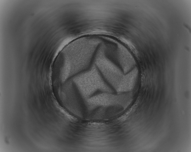 X0000092231374200710121209