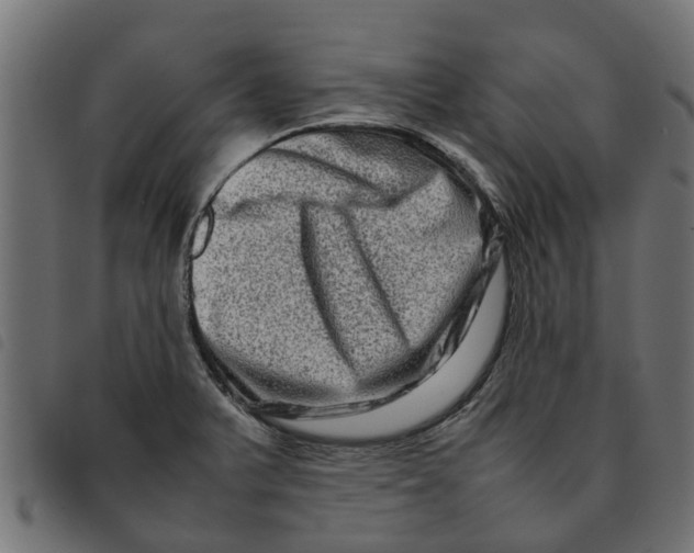 X0000092231375200710121209