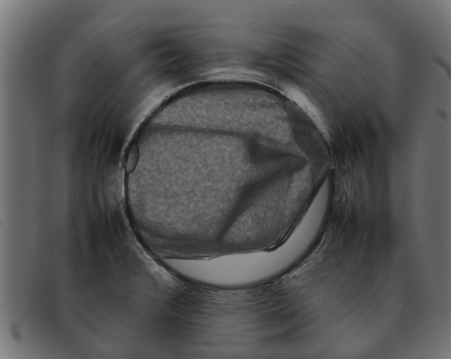 X0000092231376200710121209