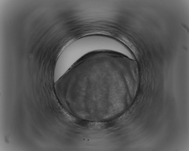 X0000092231377200710121209