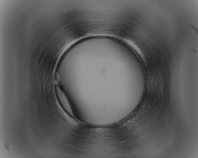 X0000092231380200710121209