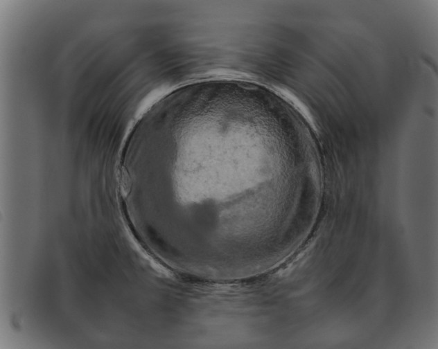 X0000092231381200710121209