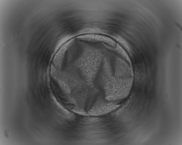 X0000092231382200710121209