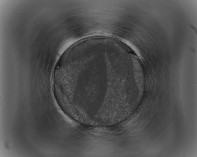 X0000092231383200710121209