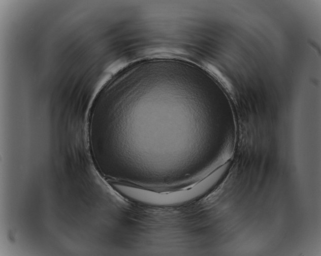 X0000092231384200710121209