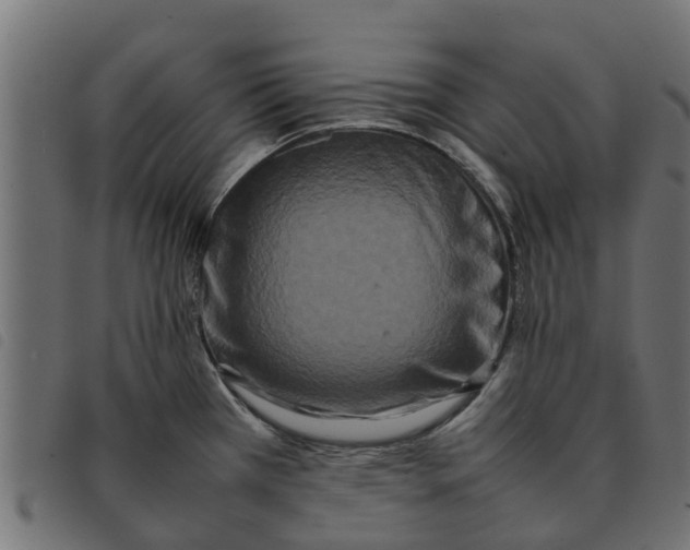 X0000092231385200710121209