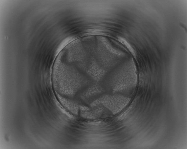 X0000092231386200710121209