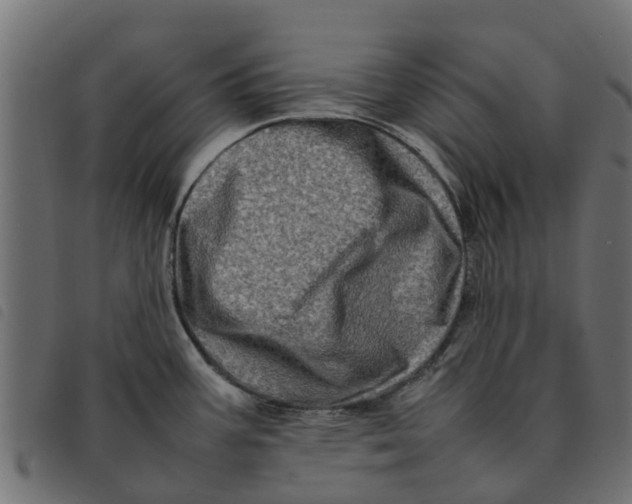 X0000092231387200710121209