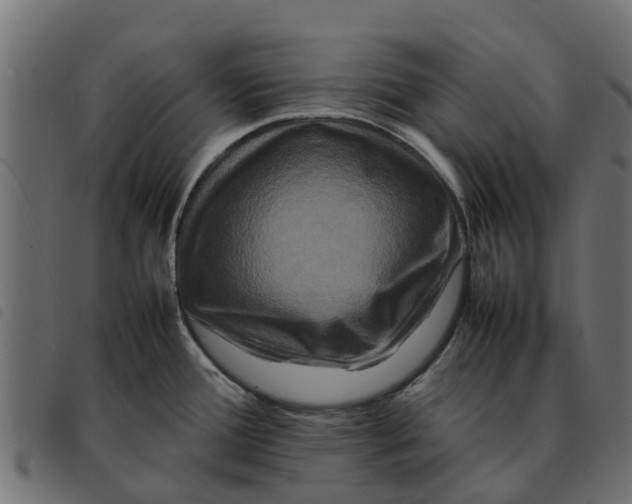 X0000092231388200710121209