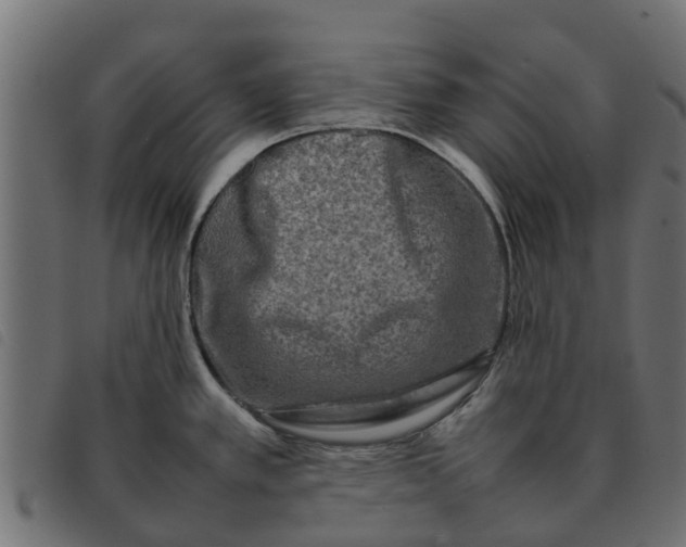 X0000092231389200710121208