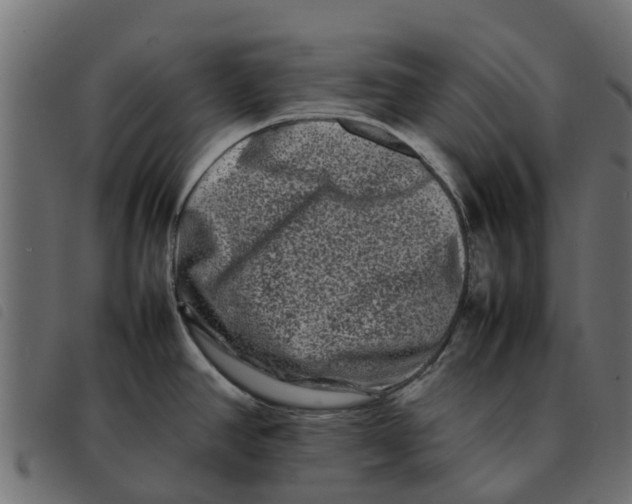 X0000092231390200710121208