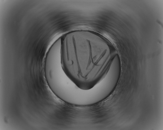 X0000092231392200710121208