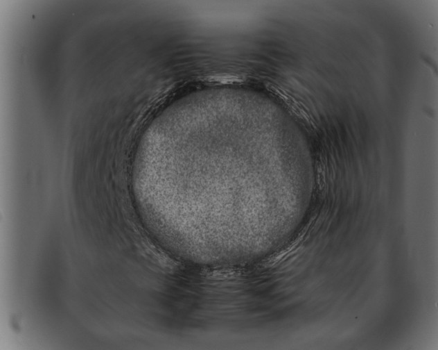 X0000092231393200710121208