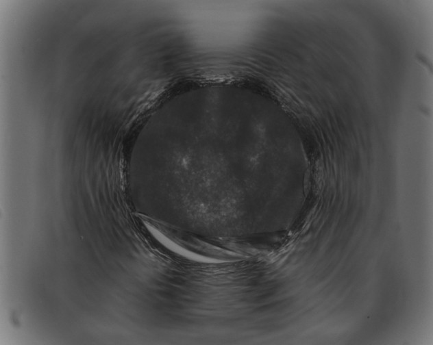 X0000092231394200710121208