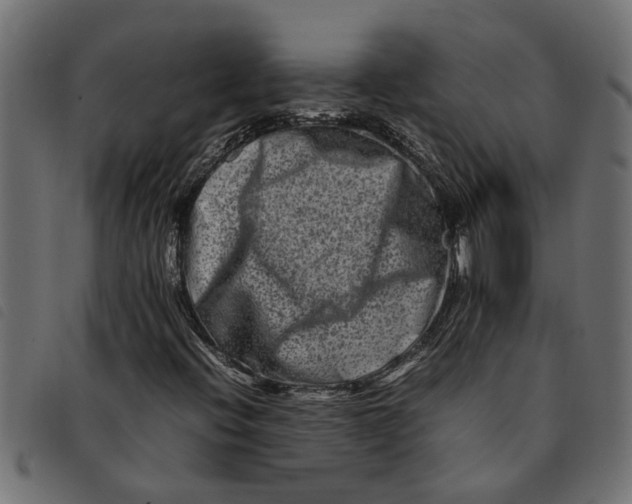 X0000092231396200710121208