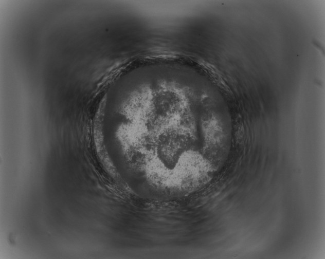 X0000092231397200710121208