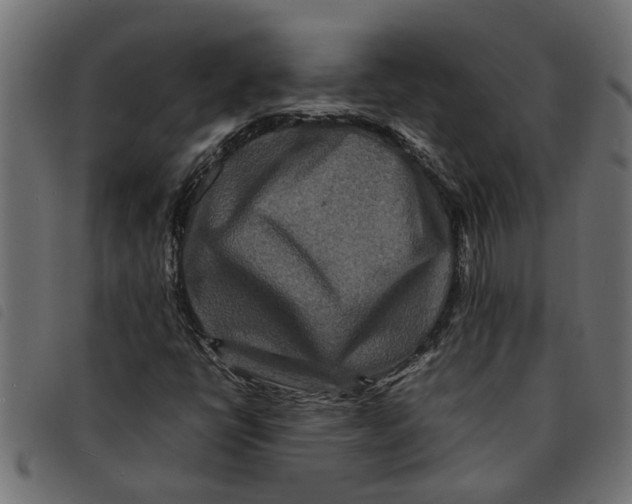 X0000092231398200710121208