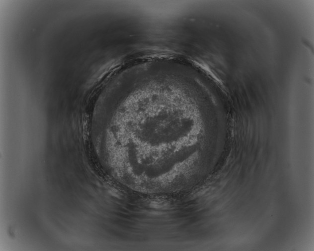 X0000092231399200710121208