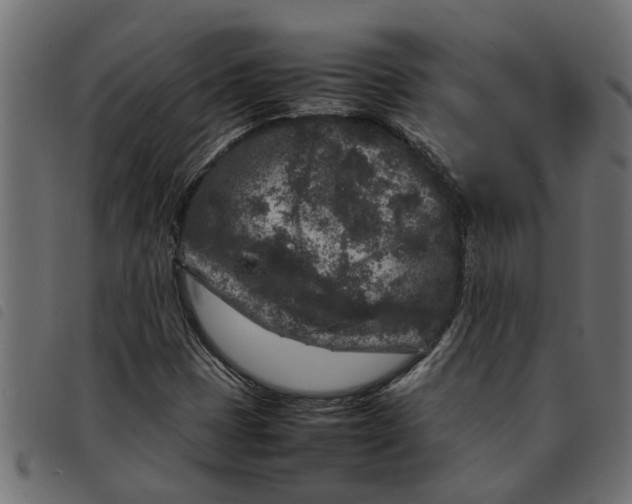 X0000092231401200710121208